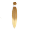 Kanekalon ombré S27 - natural blonde